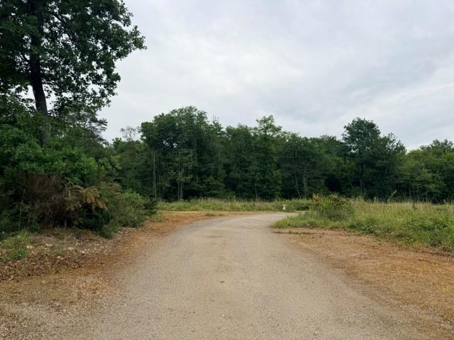 VENTE TRADITIONNELLE - TERRAIN - 704 M2 - A VERRIE (49400)