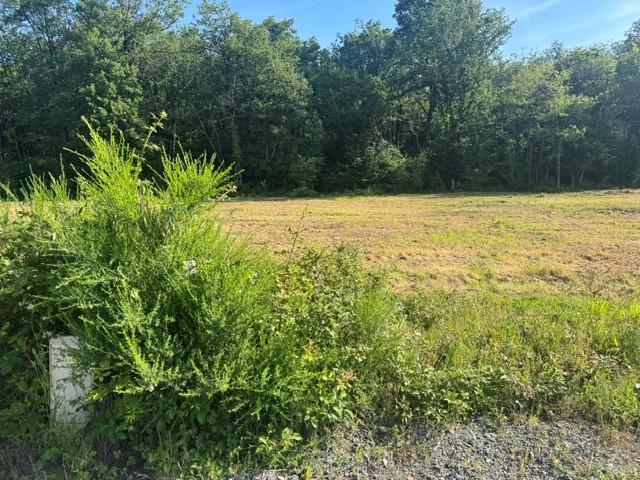 VENTE TRADITIONNELLE - TERRAIN - 614 M2 - A VERRIE (49400)